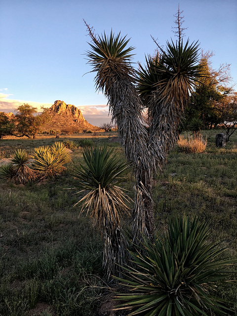 Cochise Stronghold