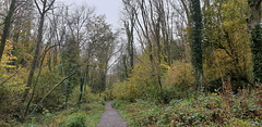 Cwm Ciddy