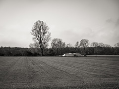 Oktobernebel