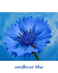 Kornblumenblau  ❁