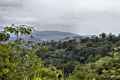 About Five Kilometers from Jaco – Puntarenas Province, Costa Rica