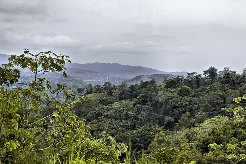 About Five Kilometers from Jaco – Puntarenas Province, Costa Rica