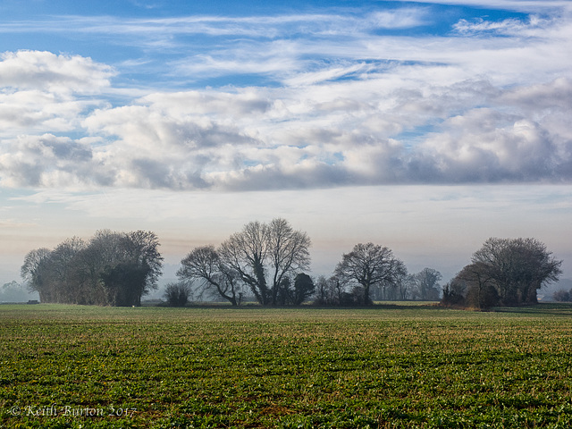 Winter Sunshine