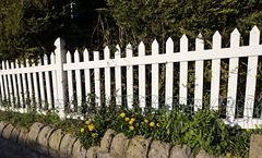 white fence - HFF!