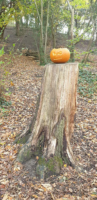 Porthkerry Park