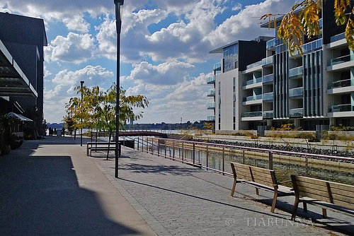 Lake foreshore