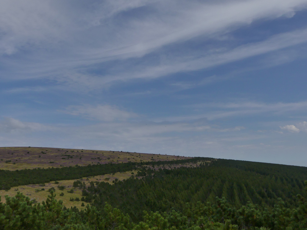 20170811 -16 Randos solo Lozere Finiels (227) al