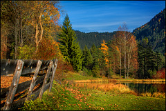 Herbstkulisse am Fernsteinsee - HFF