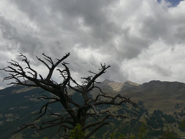 20220828 -11 Ubaye (Alpes de Haute Provence) (582)