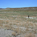 IMG 6780