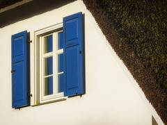 Blue Window