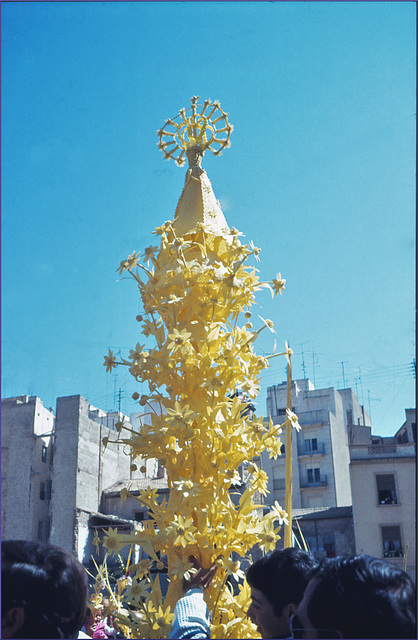 Palmstock Semana Santa in Elche