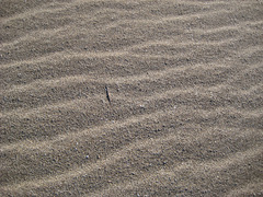 Wind & Sand...