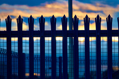 Sunset Fence 7
