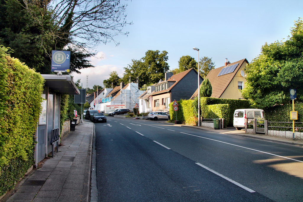 Fischenbeck (Mülheim-Holthausen) / 6.07.2023