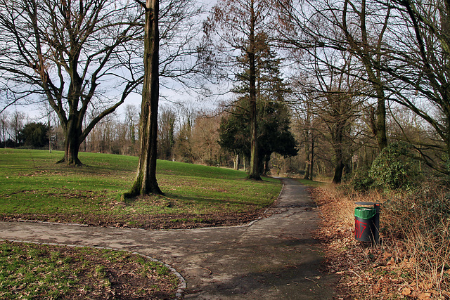 Ludwig-Kessing-Park (Essen-Überruhr) / 10.02.2024