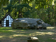 Der Große Stein von Tonnenheide