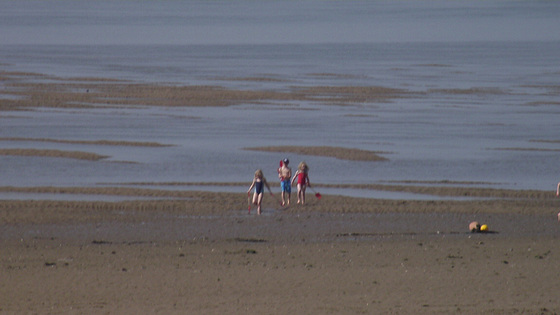 Kids having a whale of a time on the  beach