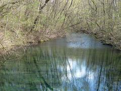 Frühlingserwachen