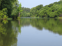 Tombigbee River