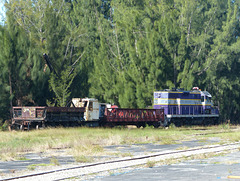 Gold Coast Railroad Museum (11) - 28 October 2018