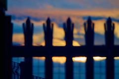 Sunset Fence 6