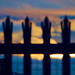 Sunset Fence 6