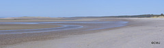 Culbin Sands from Nairn Beach