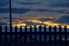 Sunset Fence 5