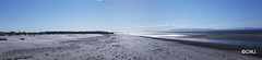 Looking towards NAIRN FROM Culbin Sands