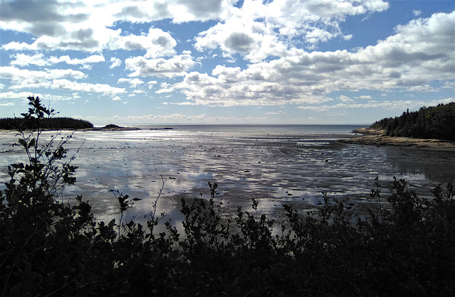 Dreamy coast (Quebec)