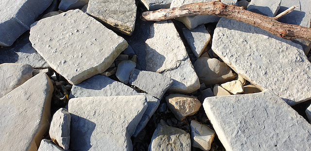 Beach stones
