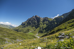 Natur pur im Safienthal