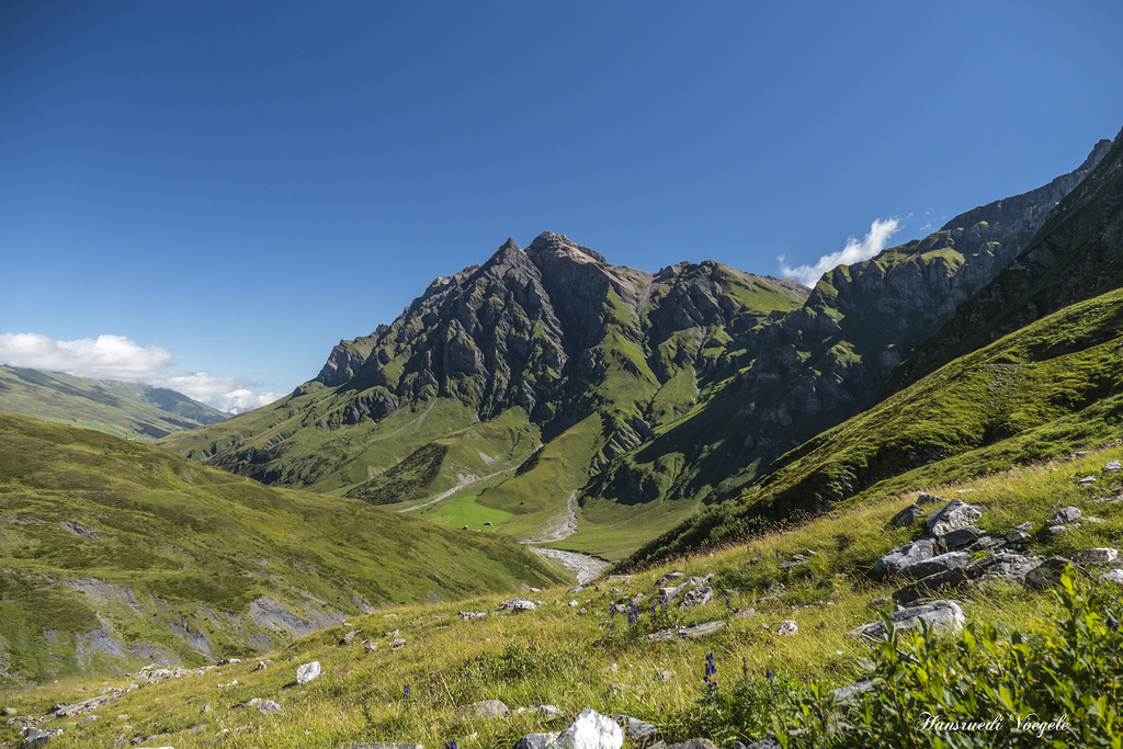 Natur pur im Safienthal