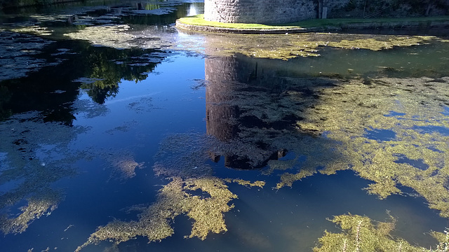 The Bishop pond