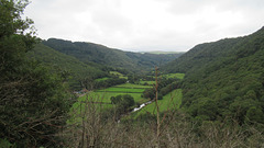 Vale of Rheidol Railway