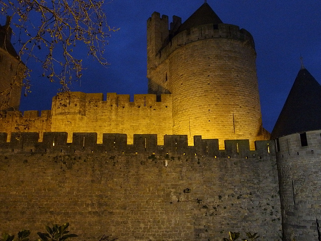 Carcassone in Blue