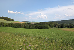 NSG Tannbüel - Ausblick in den Hegau (1)