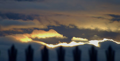 Sunset Fence 3