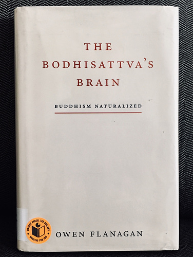 THE BODHISATTVA'S BRAIN