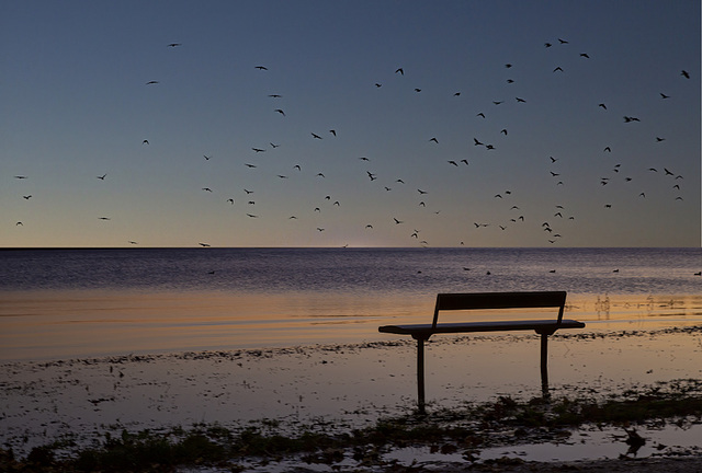 Solitudes en attente ... - Solitudini in attesa ...