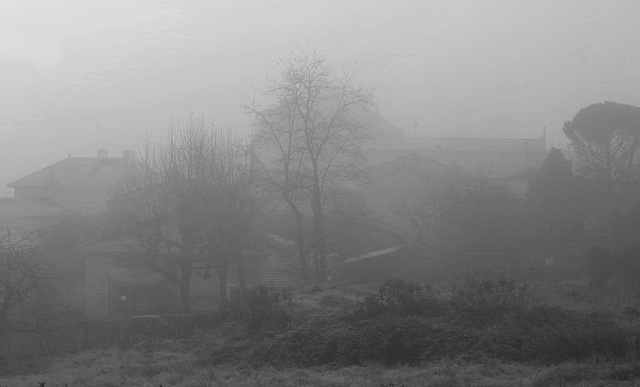 Brouillard !