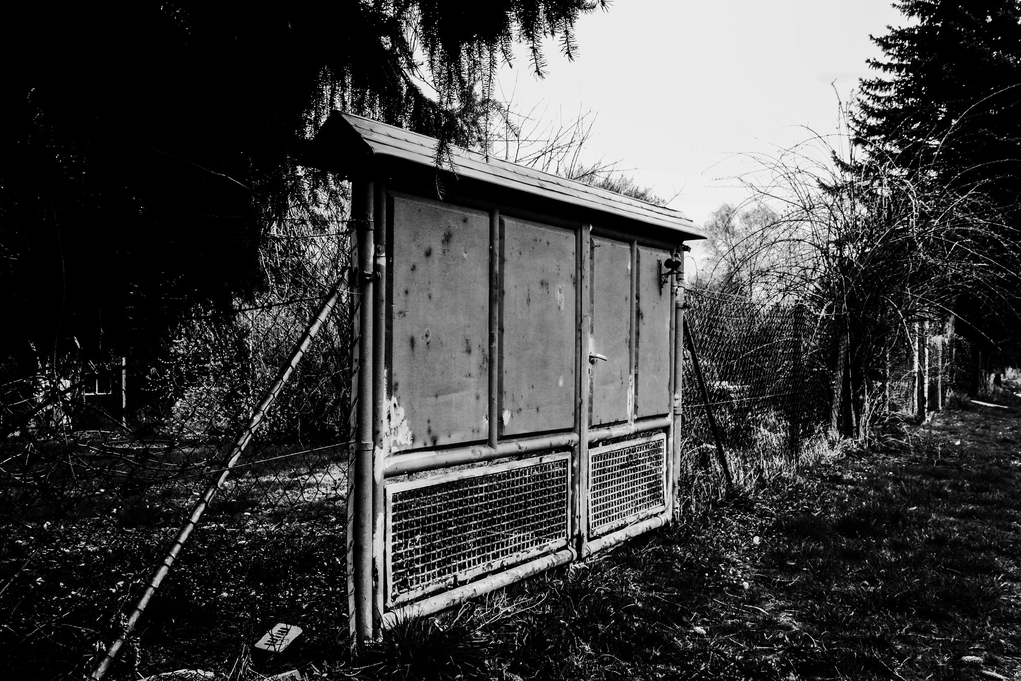 A Fence for Friday