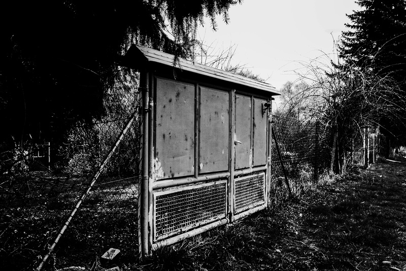 A Fence for Friday