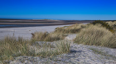 The Culbin Sands