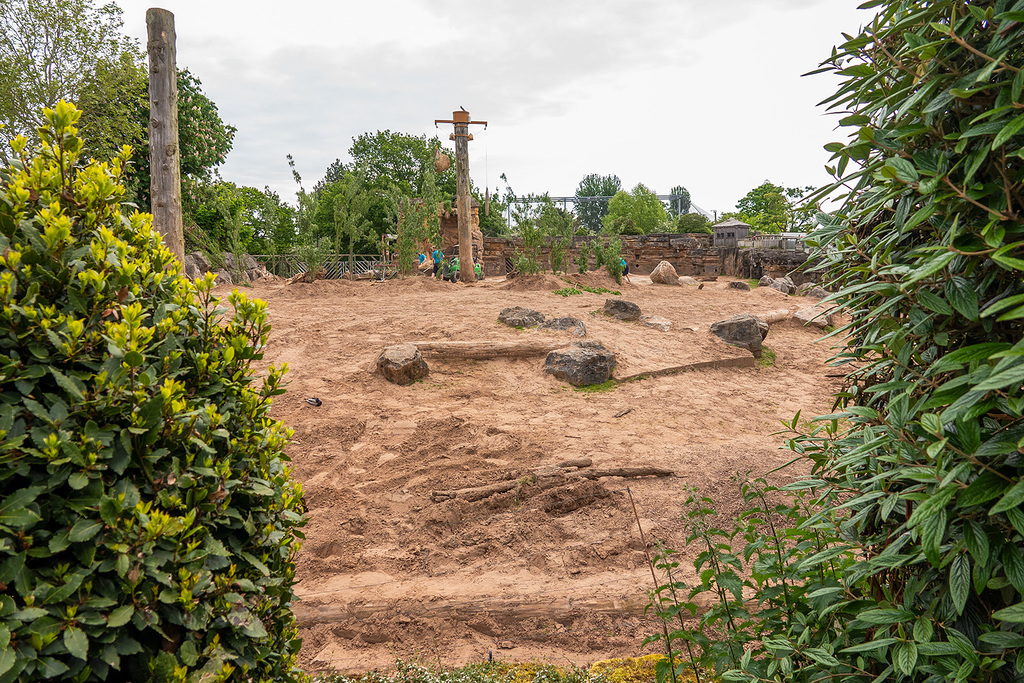 This is the elephant enclosure at Chester Zoo.