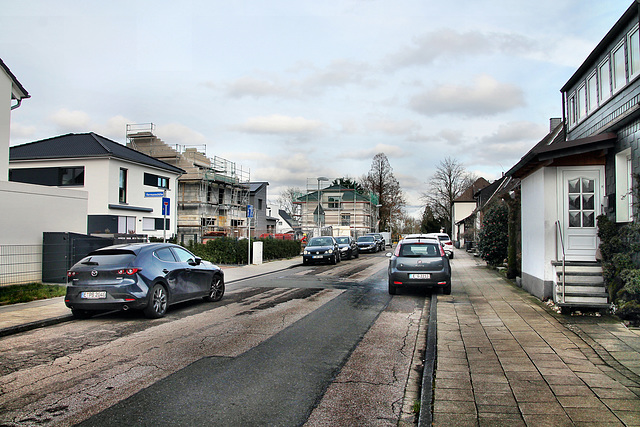 Mentingsbank (Essen-Überruhr) / 10.02.2024