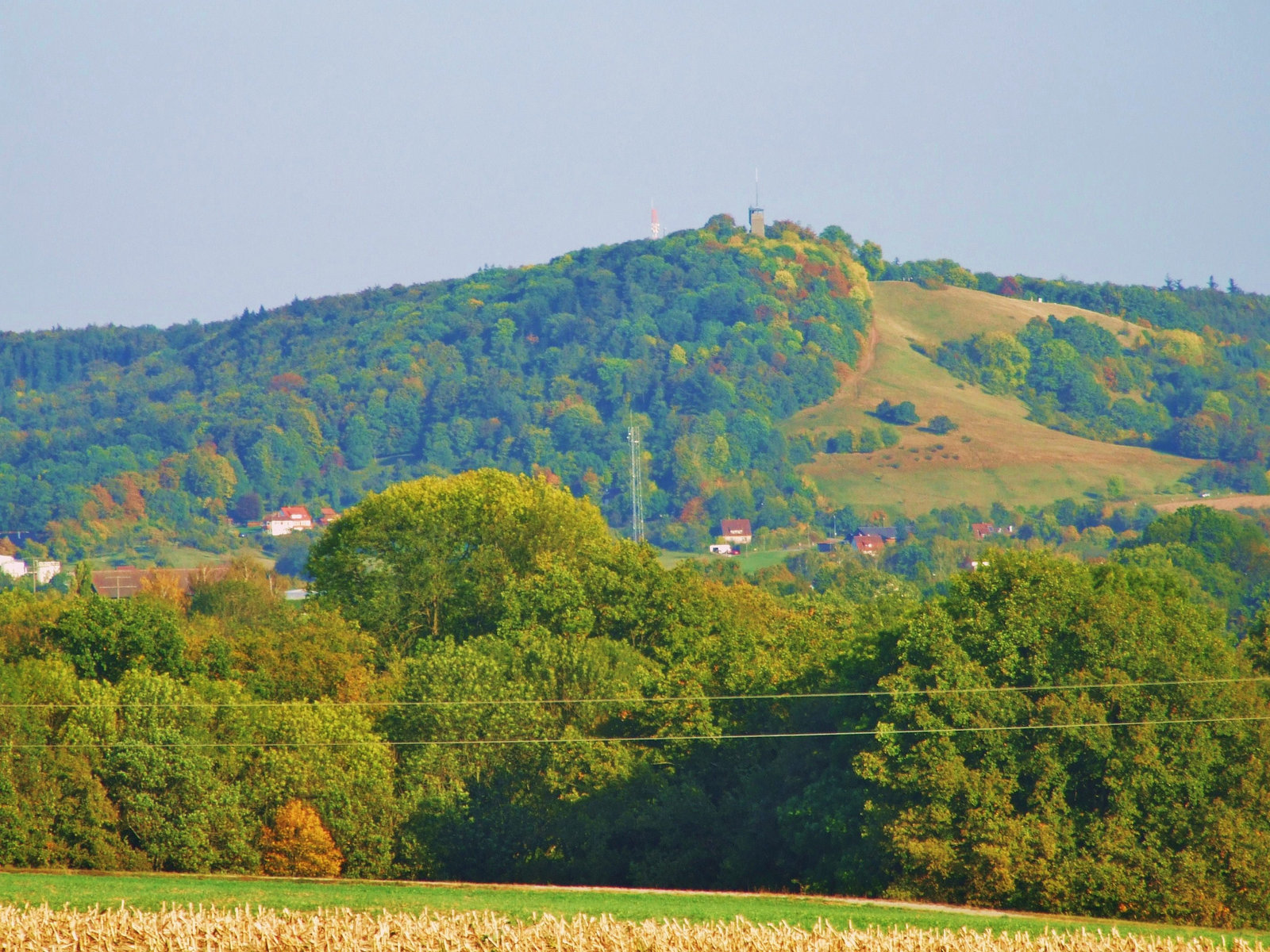 Einkorn im Herbst,Schwäbisch Hall