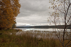 Loch Morlich