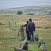 Merivale Stone Rows